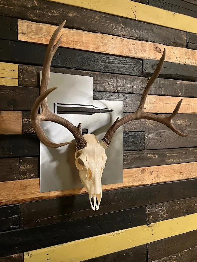 Utah Skull Mount